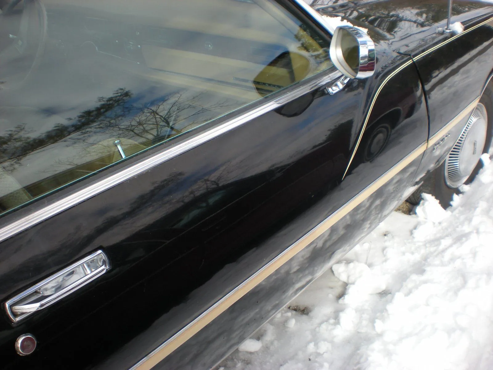 DSCN1239.webp