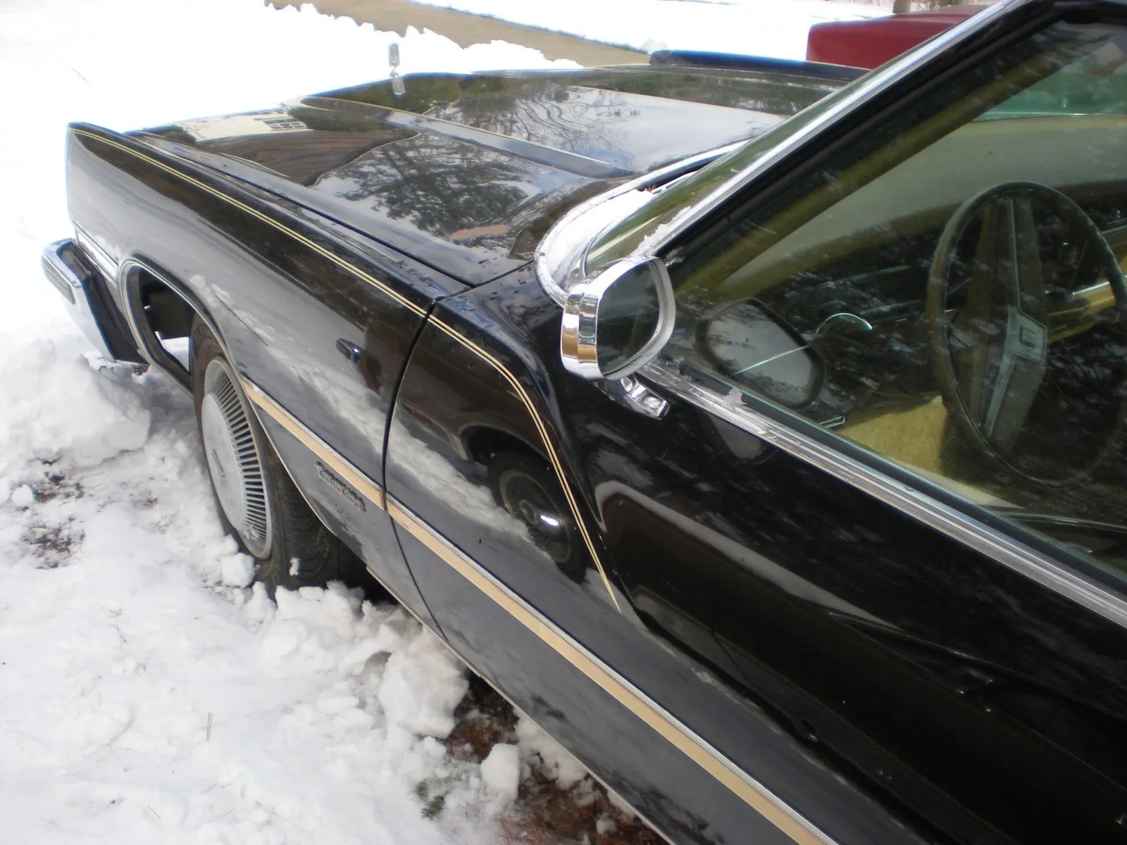 DSCN1242.webp