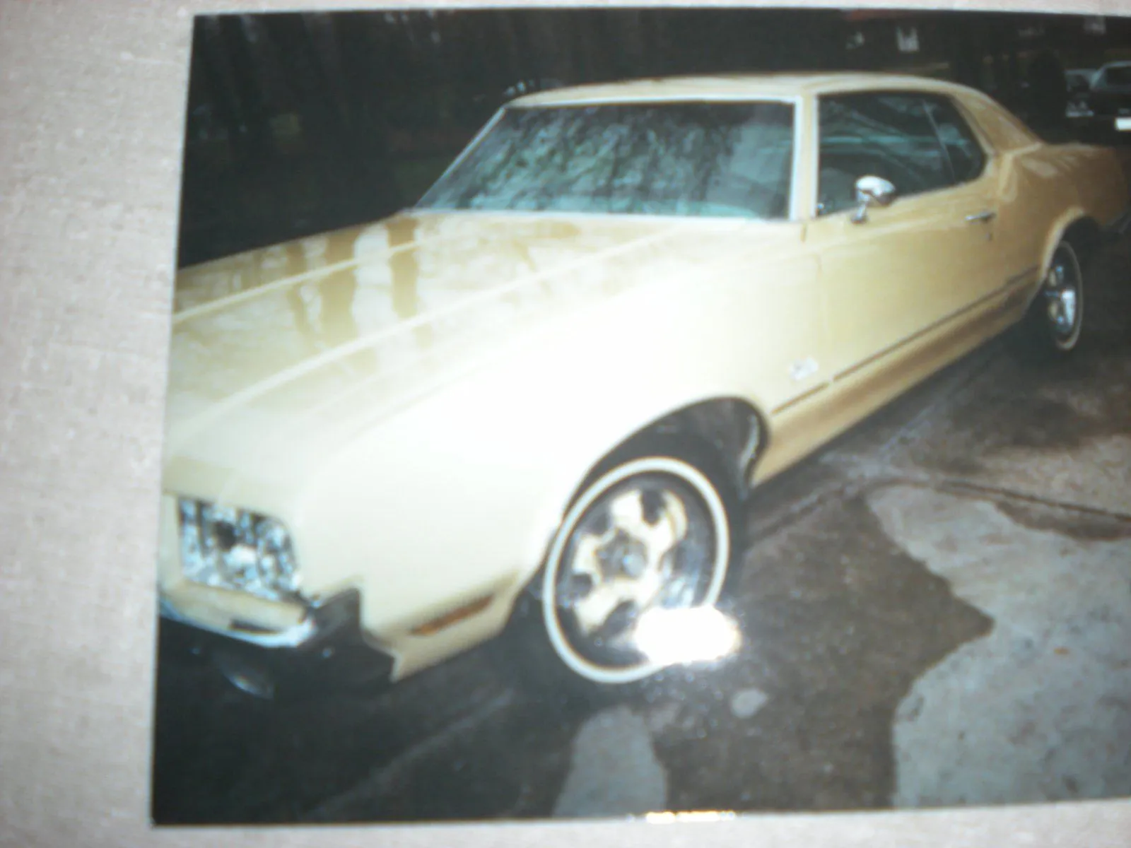 DSCN1355.webp