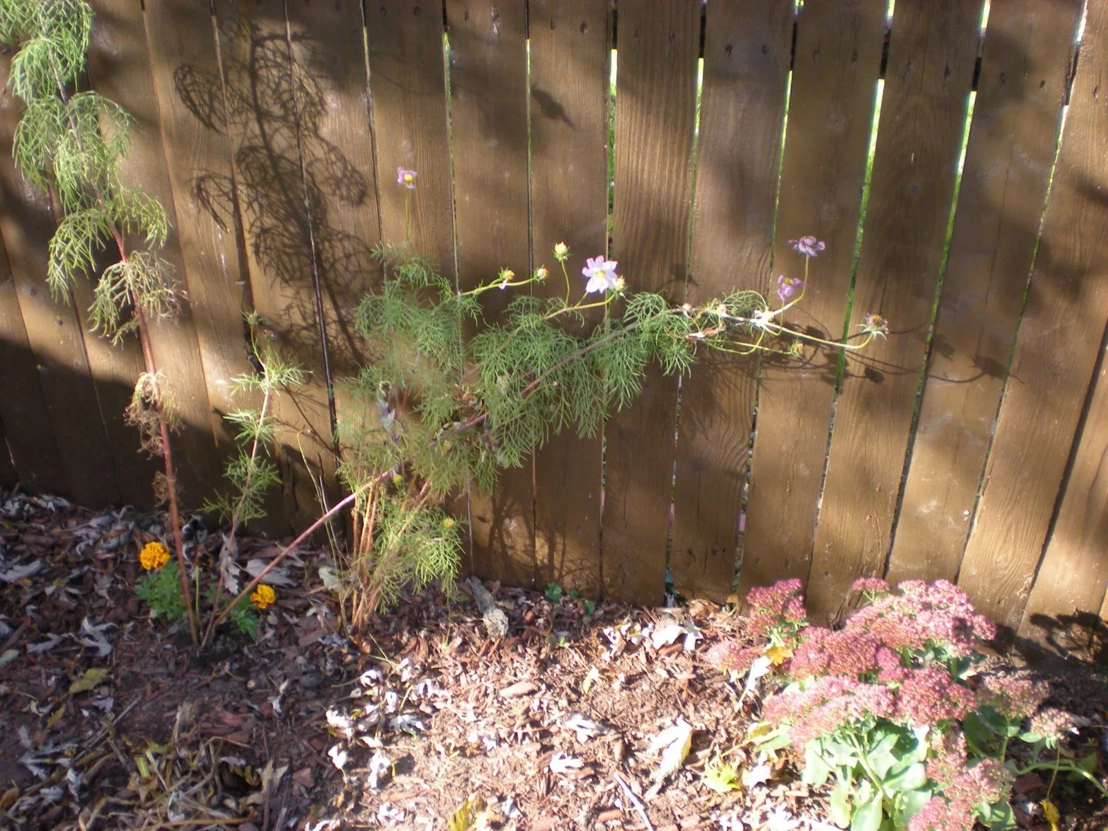 DSCN1407.JPG