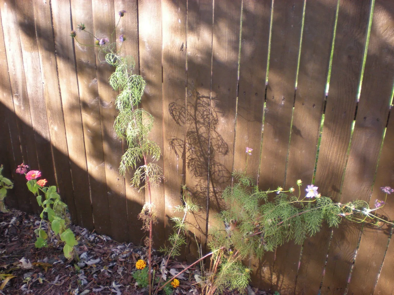 DSCN1408.JPG