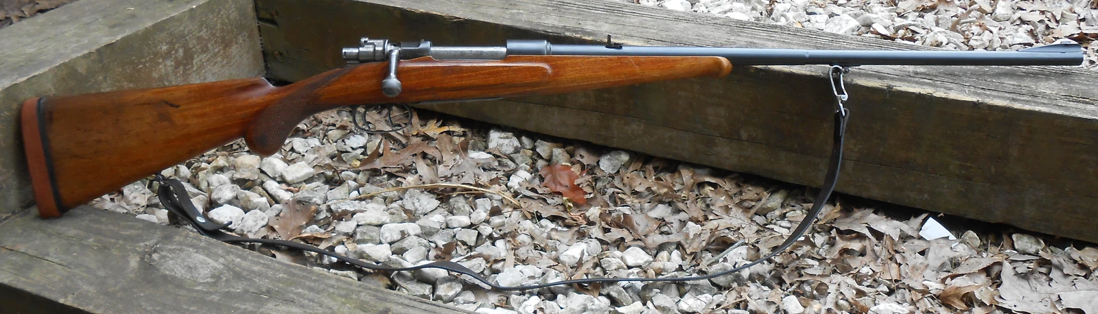 dscn5645-webp.1158947