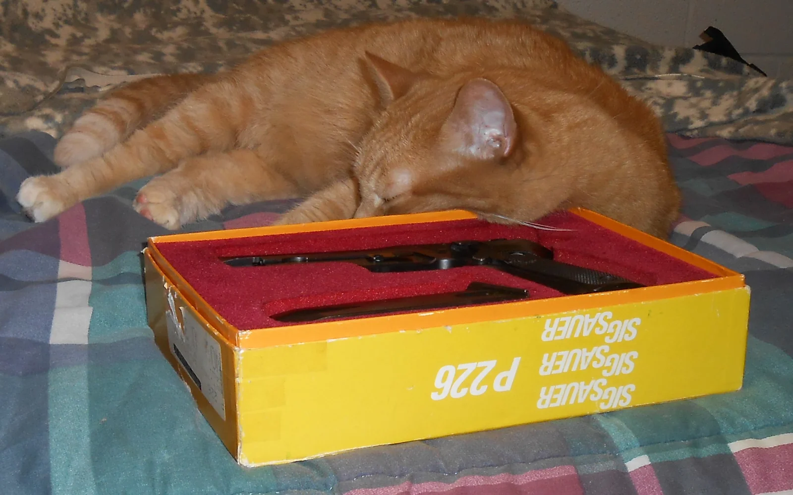 DSCN5777.webp