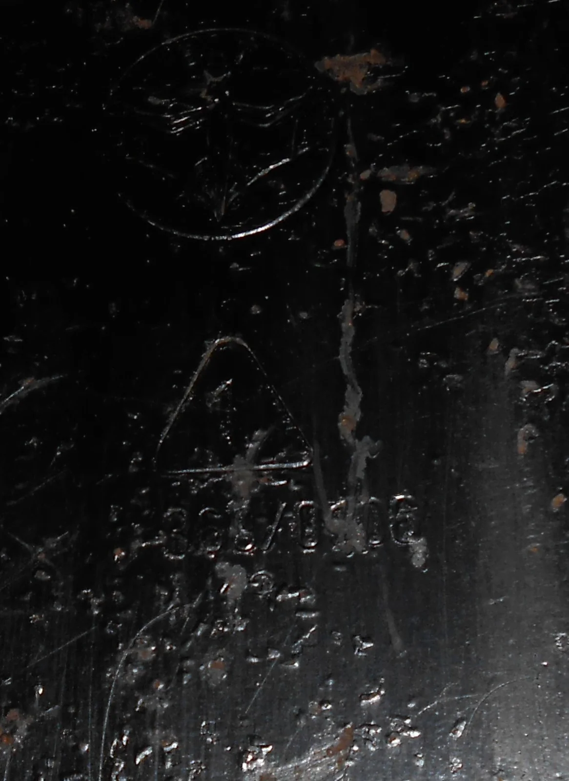 DSCN6059.webp