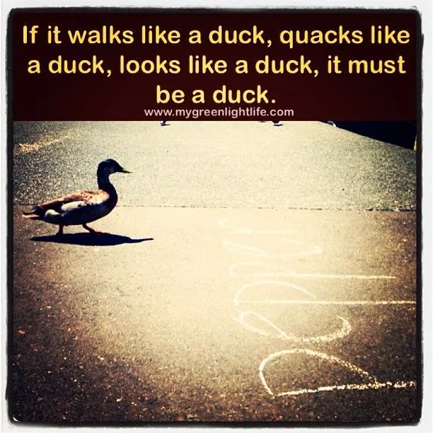 Duck.webp