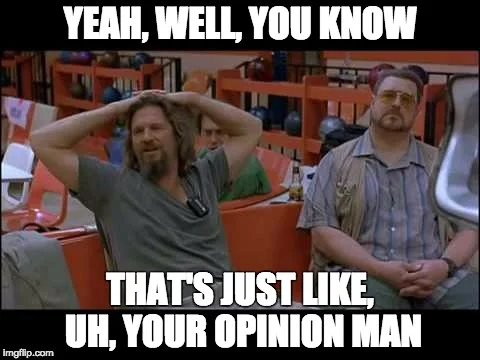 DudeOpinion.webp