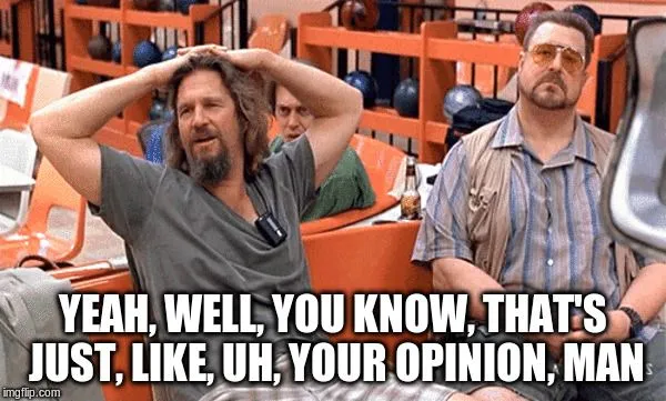 DudeOpinion.webp