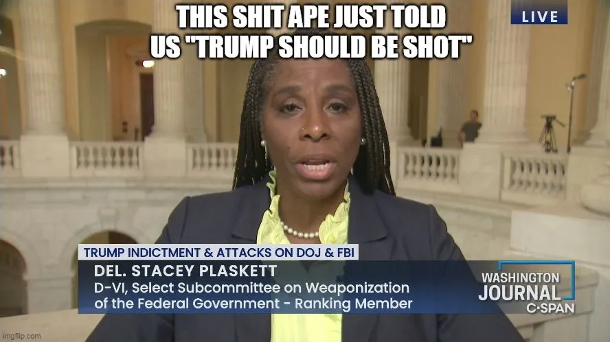 dumb shit ape plaskett.webp