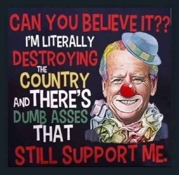 DUMBASSES STILL SUPPORT ME.webp