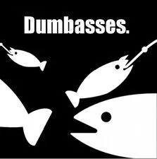 Dumbasses.webp