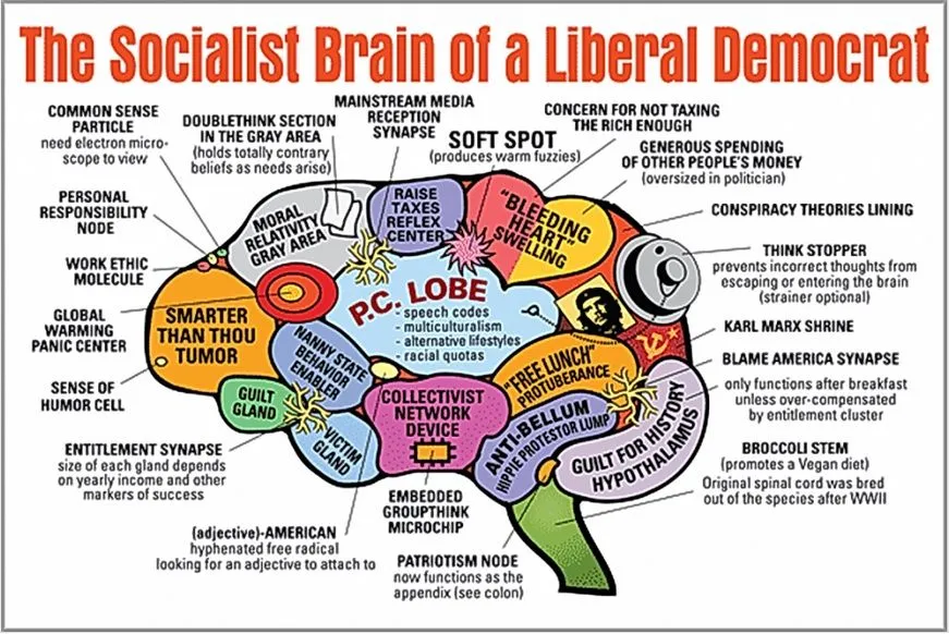 dumbsjwdemocrat-brain.webp