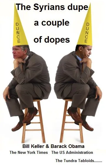dunce-cap-dopes.webp