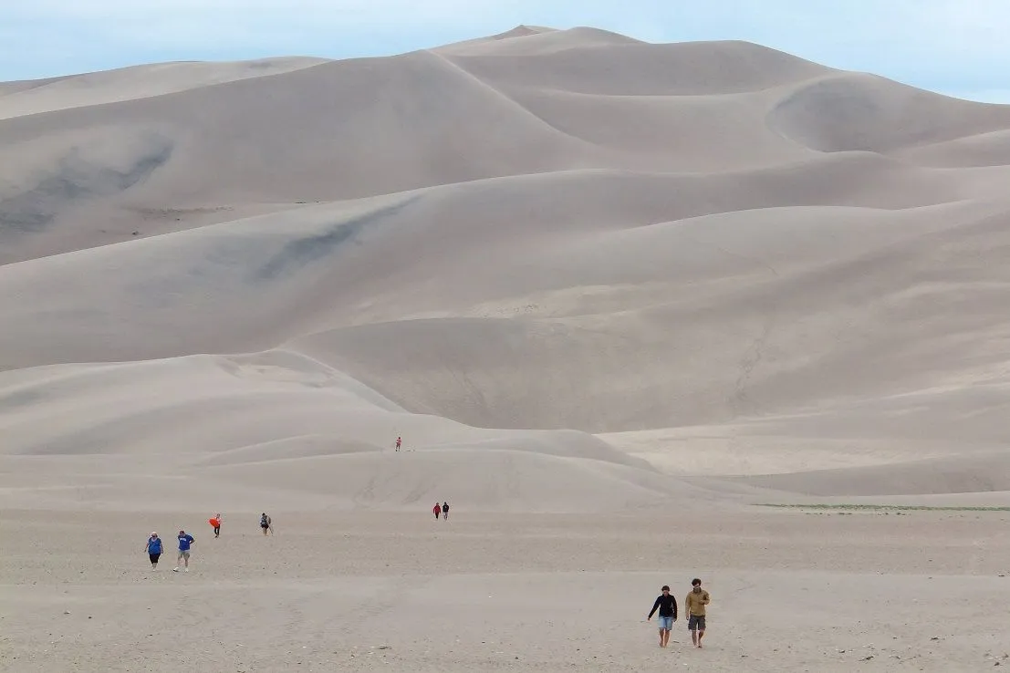 dunes2.webp