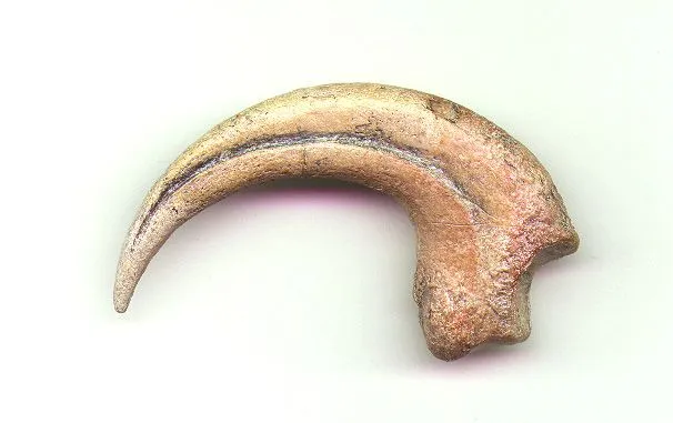 e17580bc32.webp