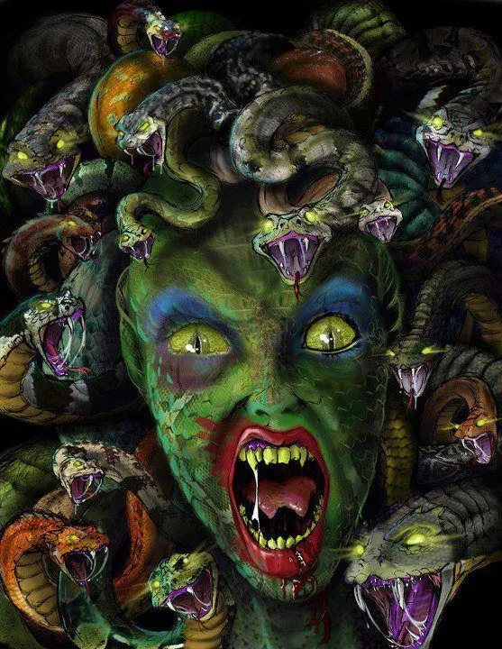 e8e9a566777b13176e3320dce8151a63--medusa-art-medusa-gorgon.webp