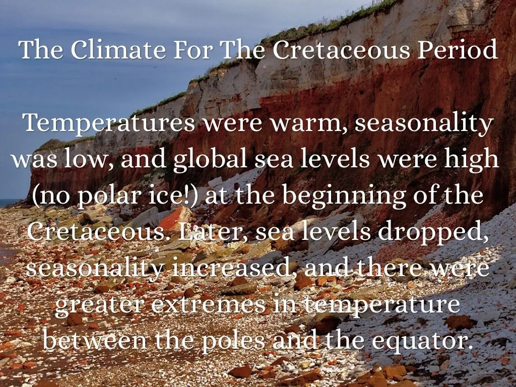 early enviroment.webp