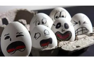 eggs.webp