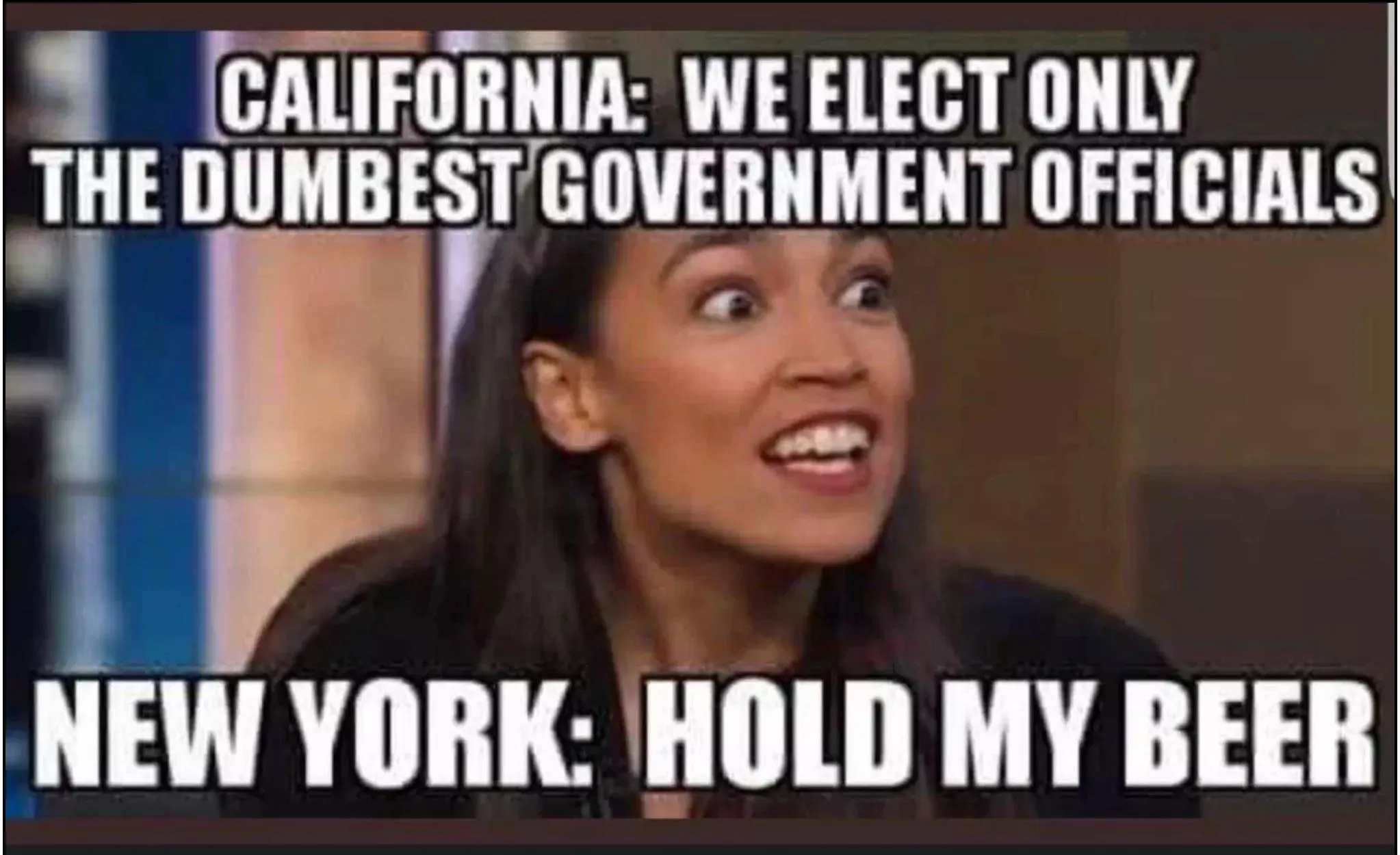 Elect dumbest officials.webp