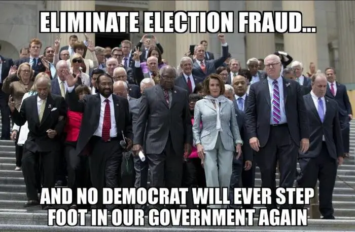 election fraud 71.webp