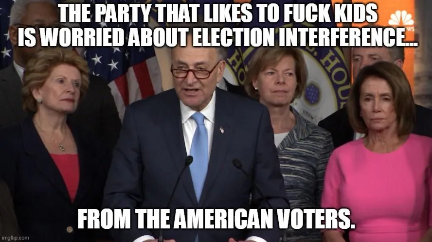 election interference from voters.webp