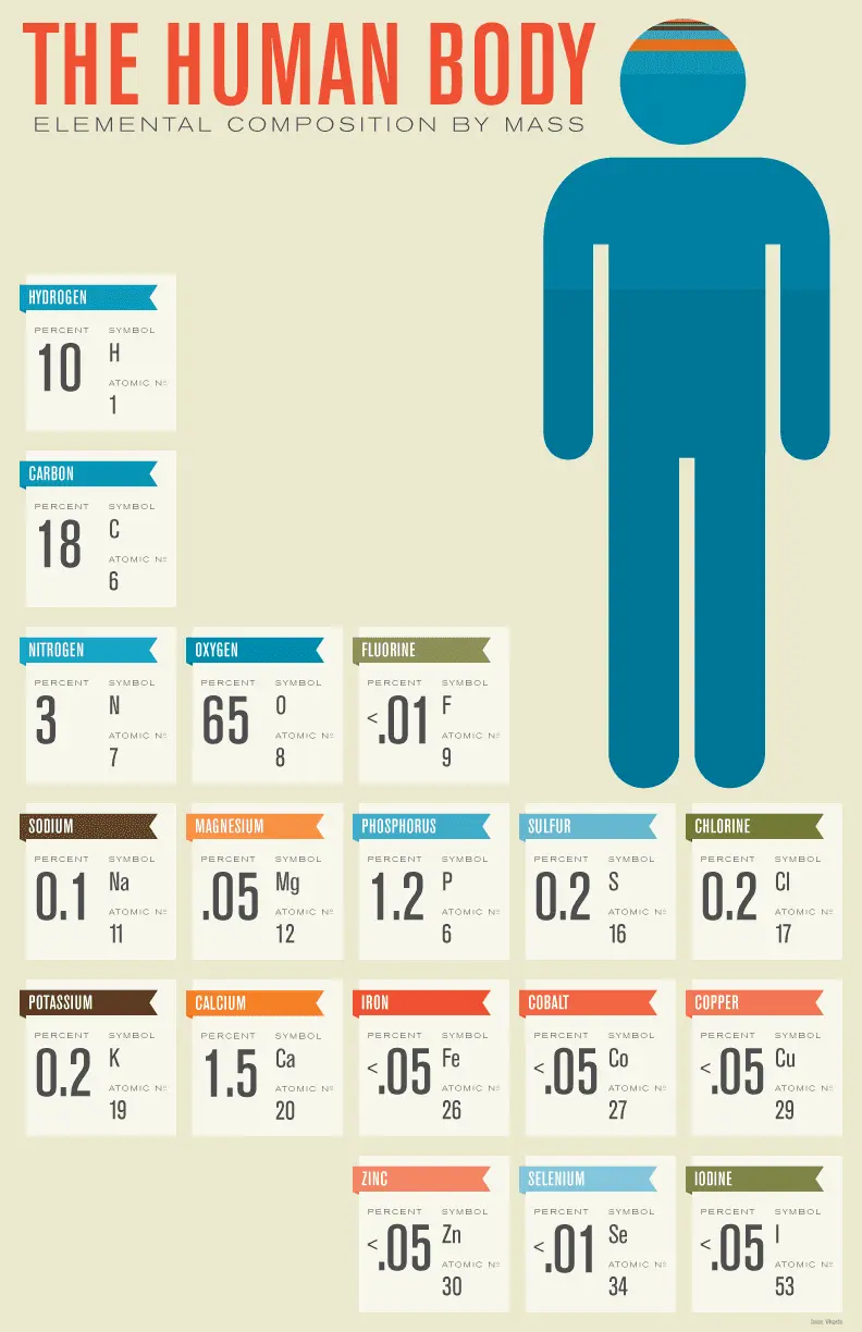 elemental-composition-by-mass-human-body-health-infographic.webp