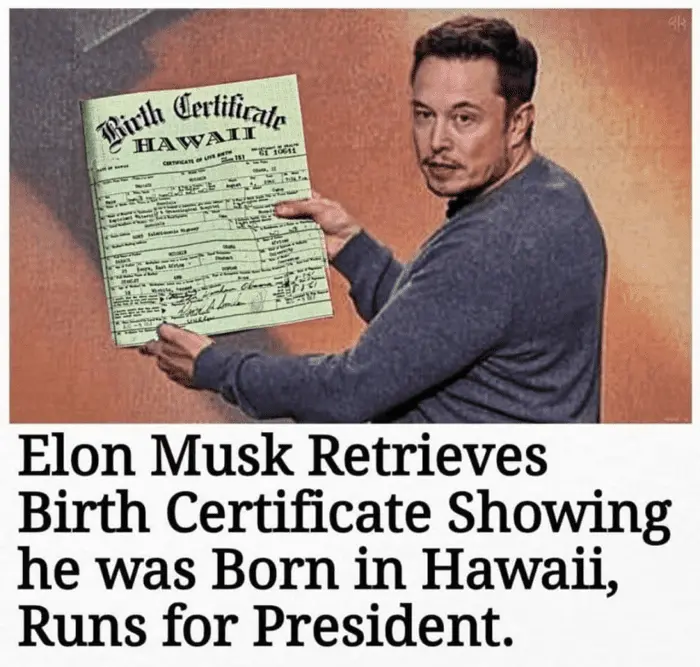 elon hawaii.webp
