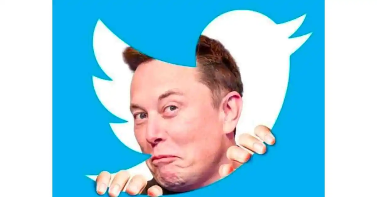 elon-musk-twitter-memes-funny.webp