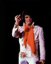 Elvis.webp