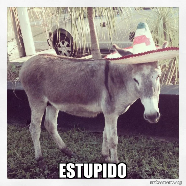 estupido-2f2933428d.webp