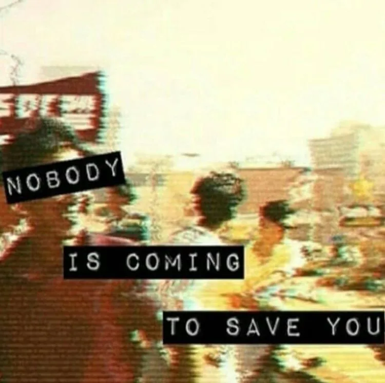 euzmgmcxsayt2od.webp