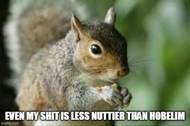 even my shit is less nuttier than hobelim.webp