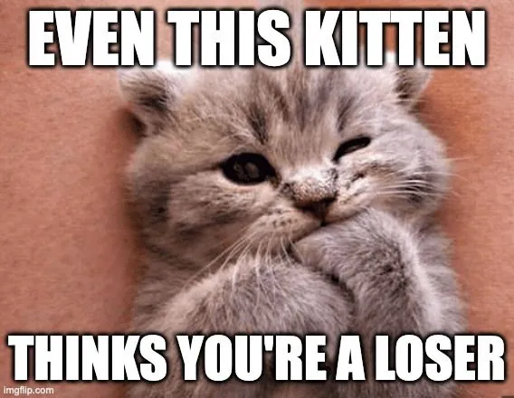 even this kitten.webp