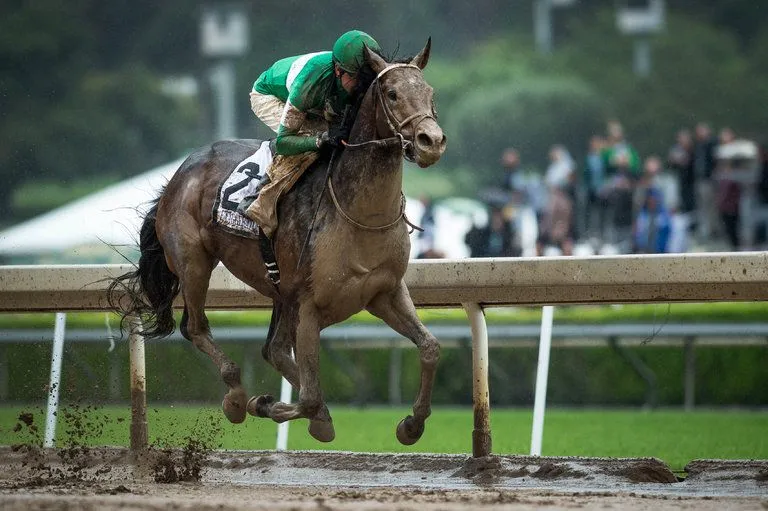 exaggerator.webp