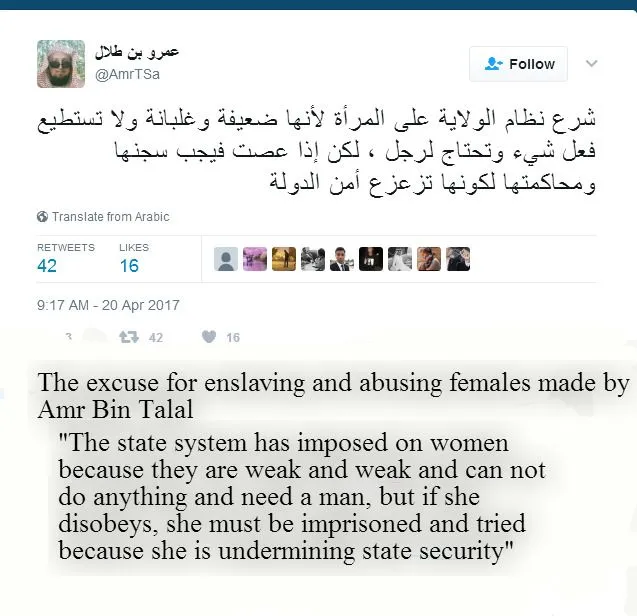 excuses for abusing females.webp