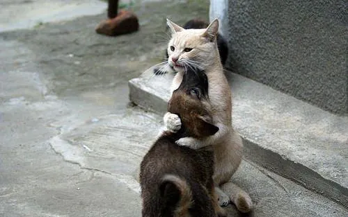 EXMpDCPWoAAzGVm.webp
