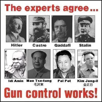 expertssssss-gun-control.webp