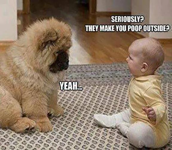 Extremely-Funny-Pictures-13.webp