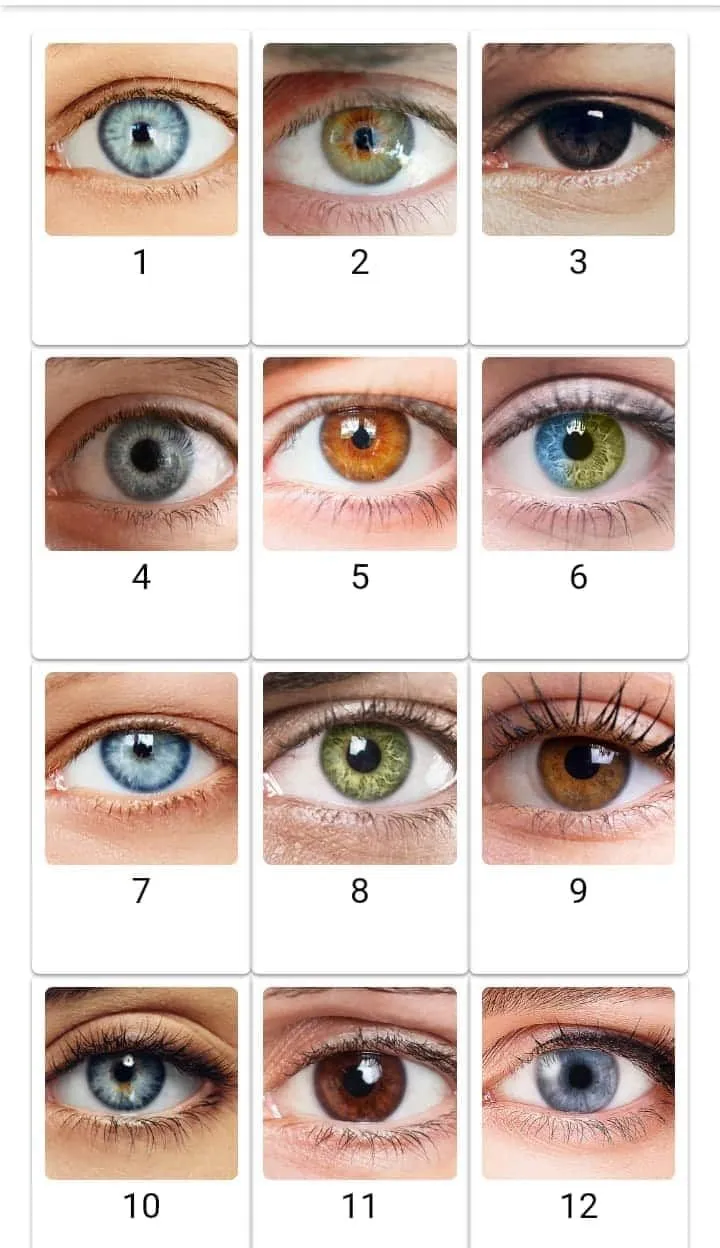 Eyecolourchart.webp