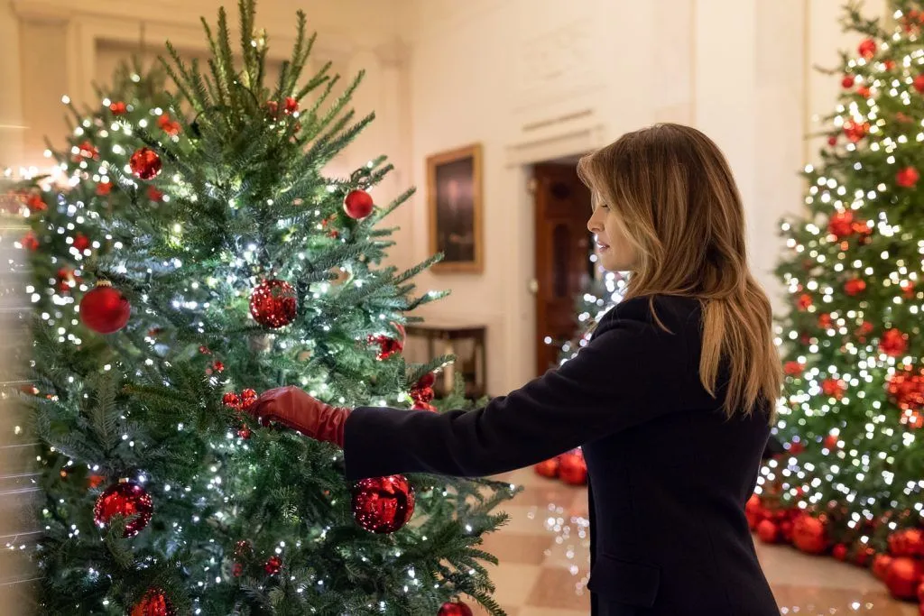 F20181125AH-2024-1024x683.webp