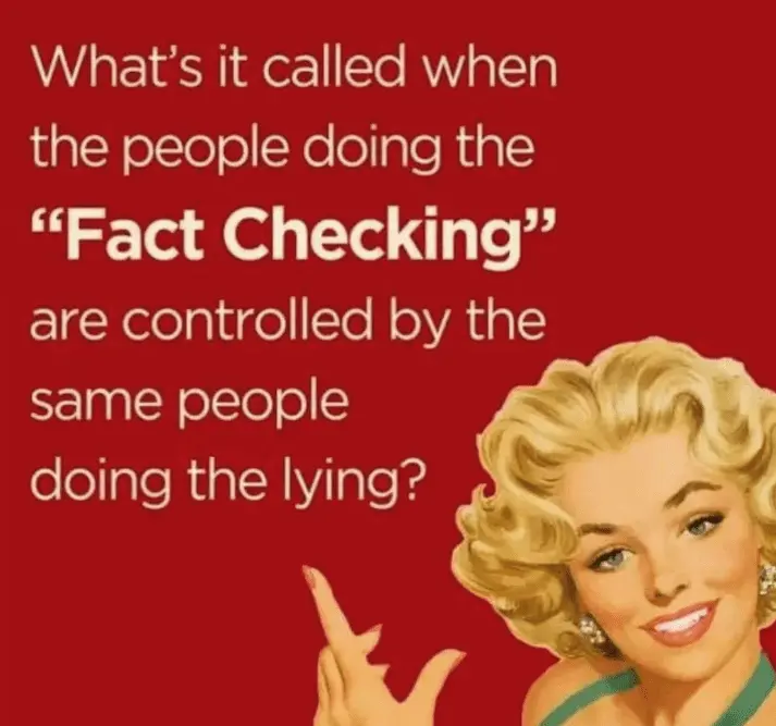 factcheckinghdfgnfdgfg.webp
