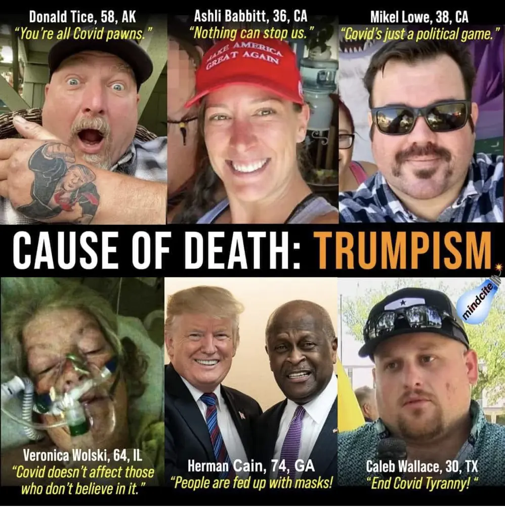 FAFO Cause of Death.webp