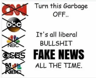 fake news reporting.webp