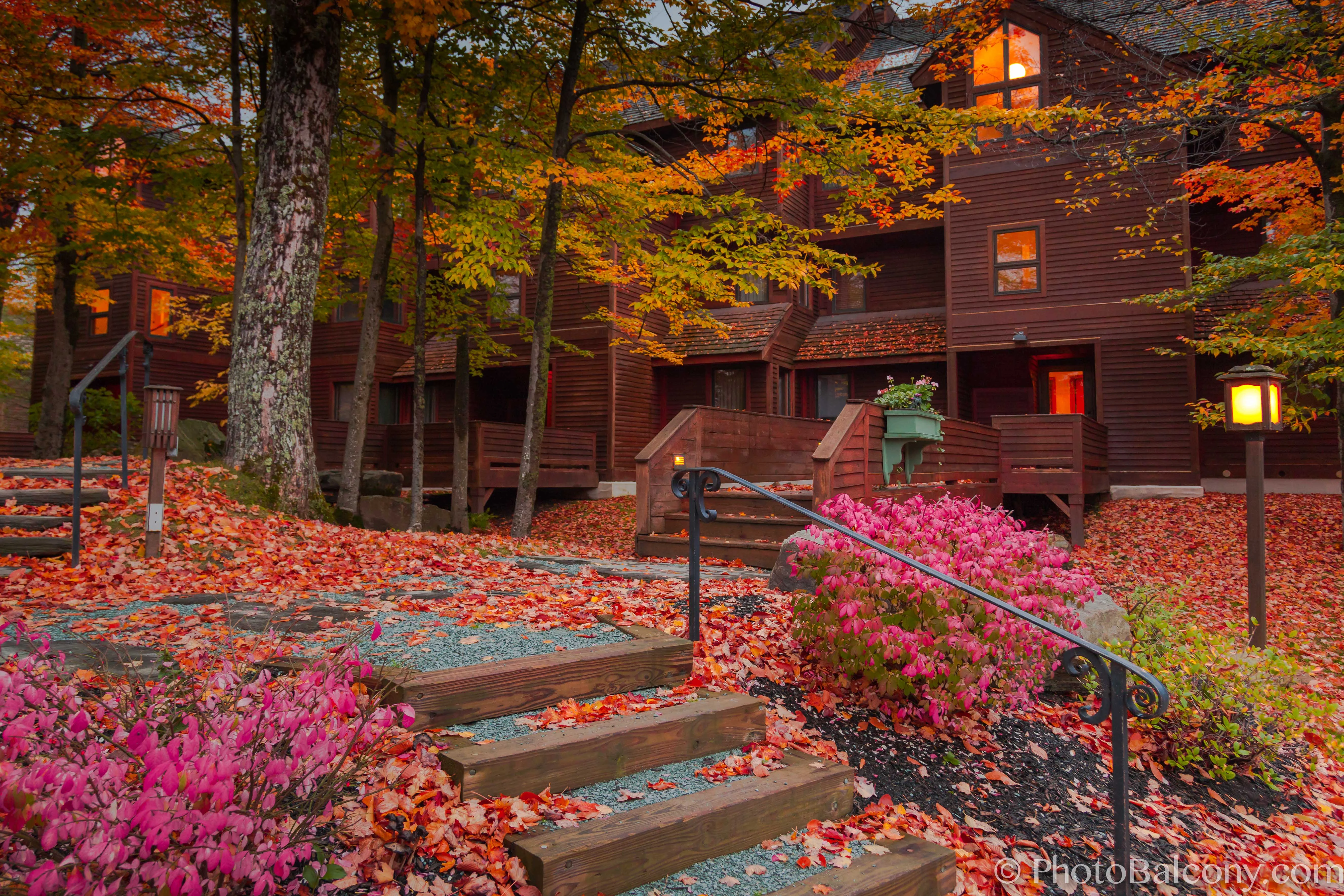Fall-foliage-and-stairs-to-wooden-building.webp