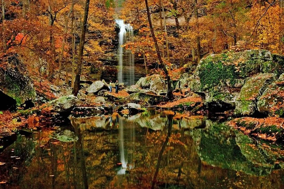 Fall-foliage-and-waterfall.webp