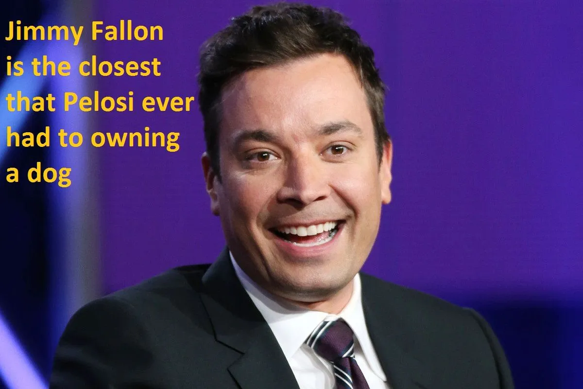 fallonpuke.webp