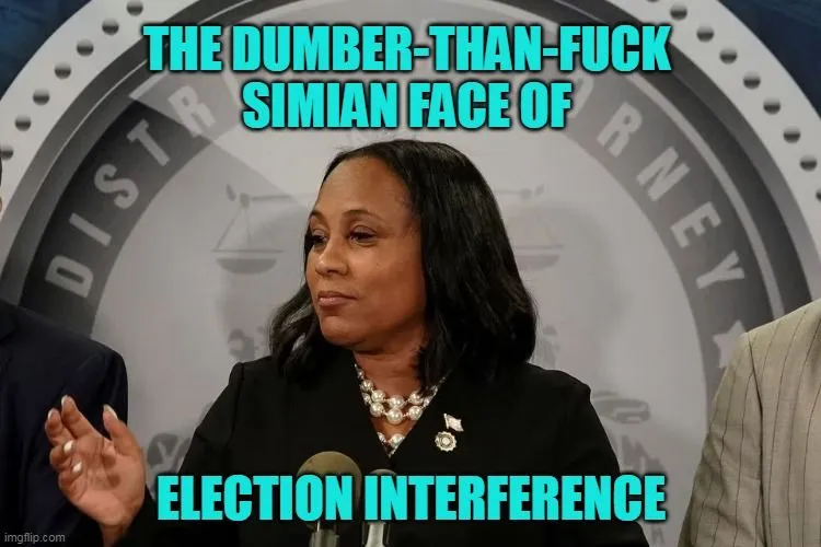 fanny willis election int ape.webp