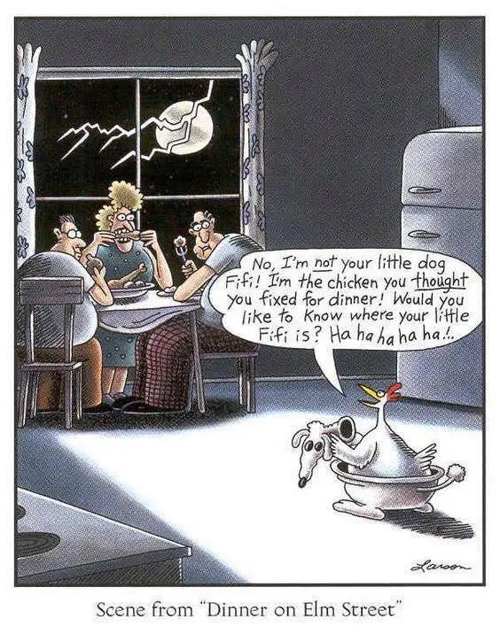 far side.webp