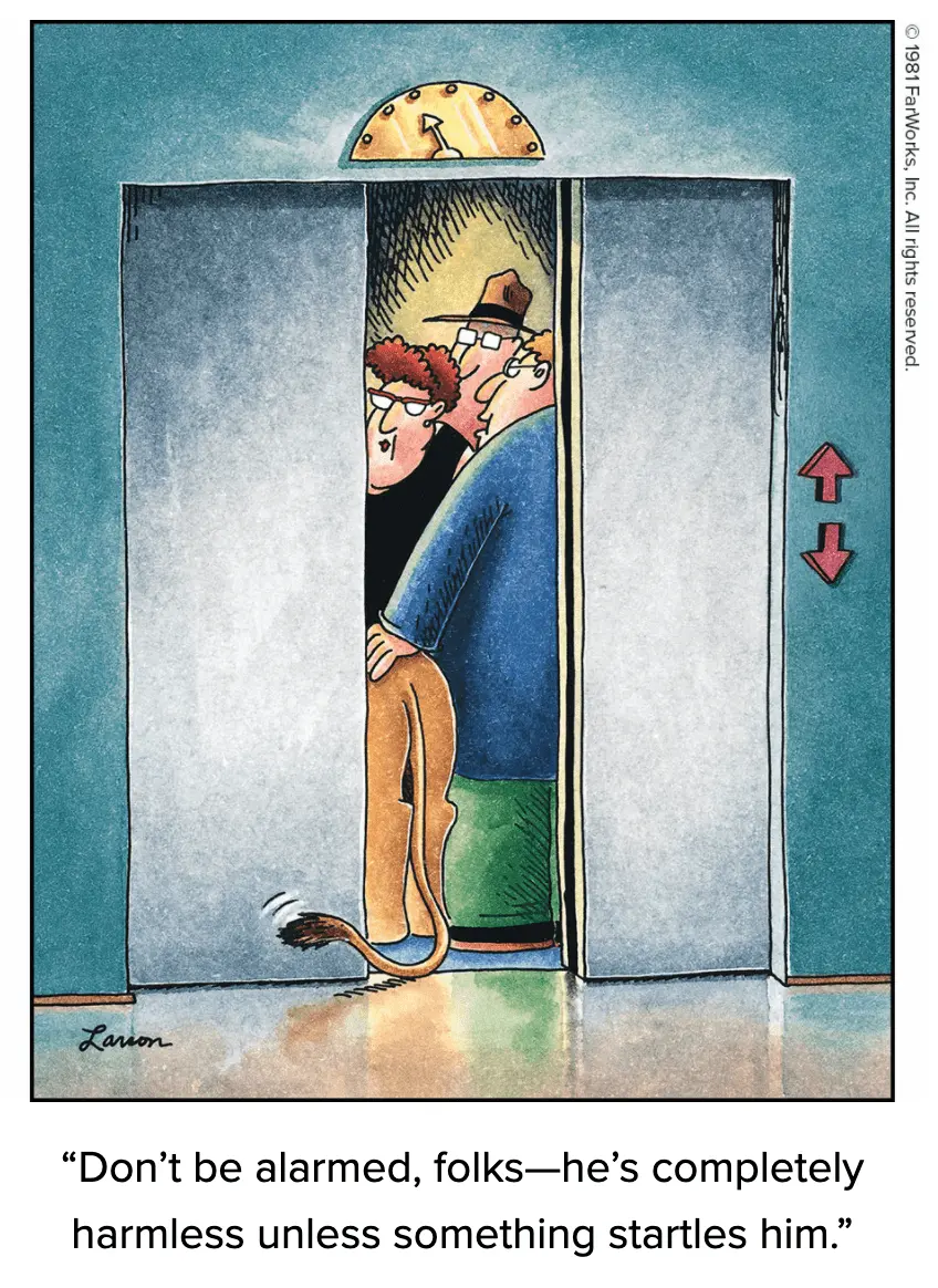 farside1.webp