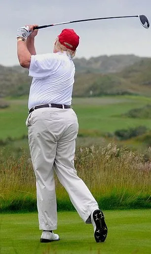 Fat-Donald-Trump.jpg