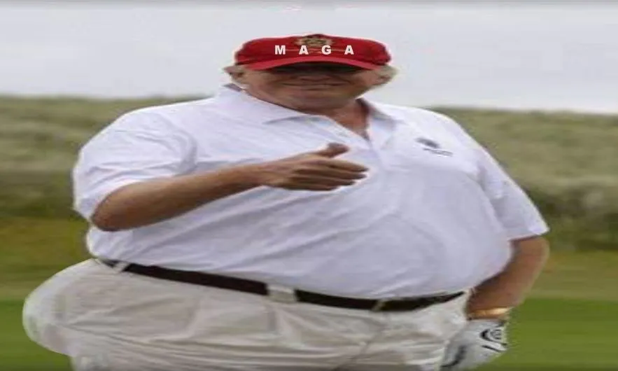 fat.webp